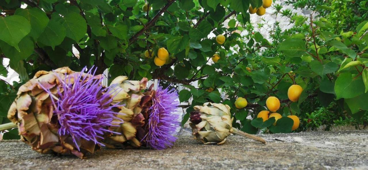 Pesádha Ploes Luxury Cottages מראה חיצוני תמונה